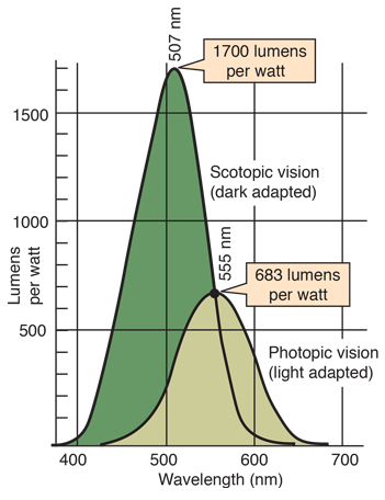 Retinal sensitivity