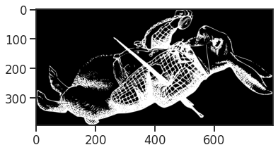 Image Array