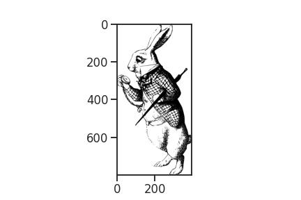 White Rabbit