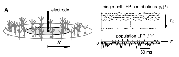 Linden et al. 2011